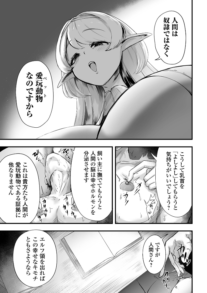 エルフ様の人間愛護管理法 ＃2 サンプル画像
