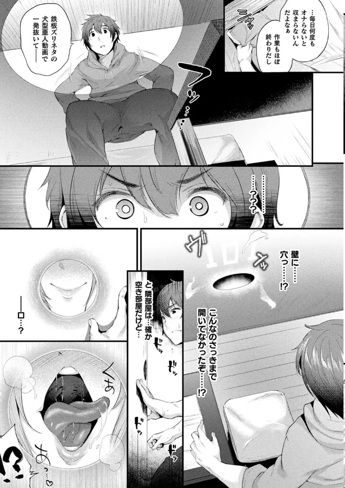 ハメこみ!─壁穴つき住居へようこそ─【キャラクター設定&お蔵出し漫画つき電子書籍限定版】 【太平さんせっと】 サンプル画像