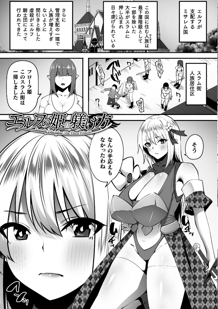 淫堕の黒衣 【すかいれーだー】 サンプル画像