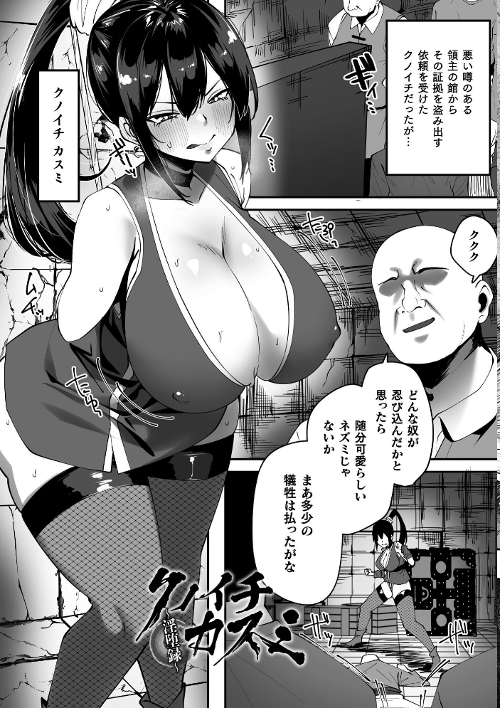 淫堕の黒衣 【すかいれーだー】 サンプル画像