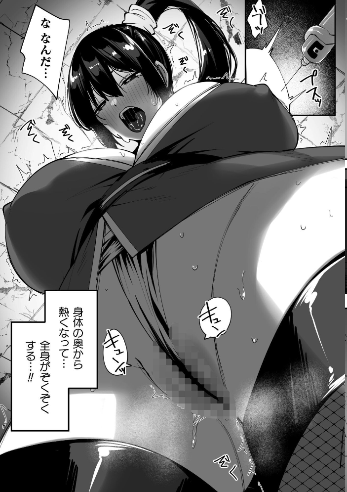 淫堕の黒衣 【すかいれーだー】 サンプル画像