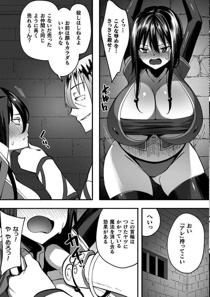 淫堕の黒衣 【すかいれーだー】 サンプル画像
