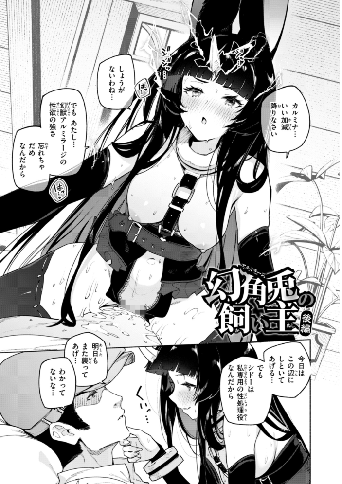 ヤリこみクロニクル〜異種族性交記〜【デジタル版限定おまけ付き】 【Croriin】 サンプル画像