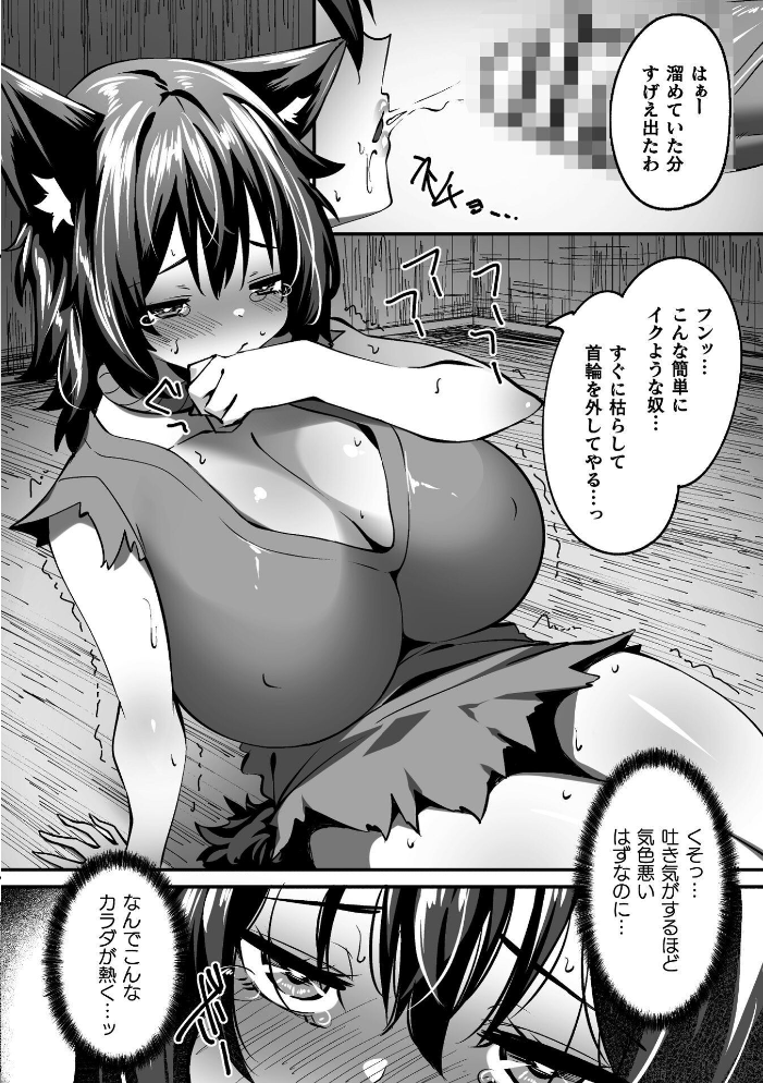 淫堕の黒衣 【すかいれーだー】 サンプル画像