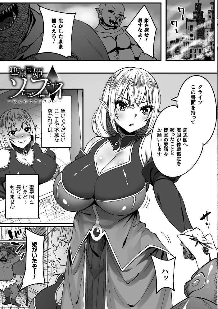 淫堕の黒衣 【すかいれーだー】 サンプル画像
