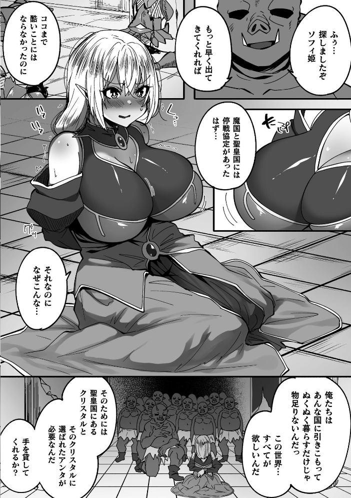 淫堕の黒衣 【すかいれーだー】 サンプル画像