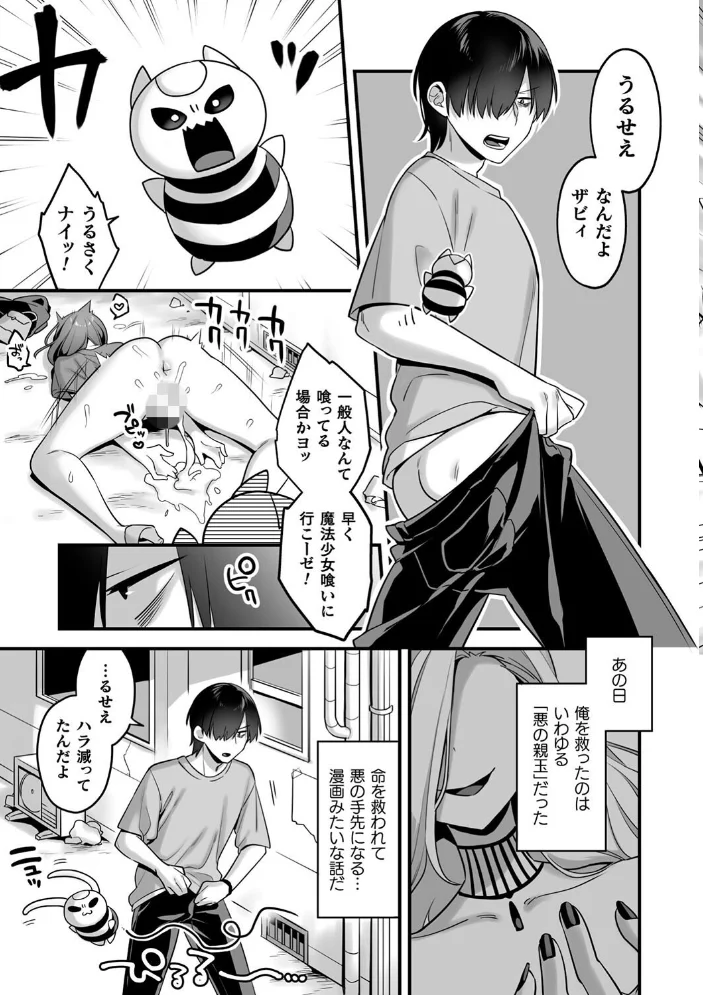 悪の手先になったので。 〜魔法少女を××します〜 THE BOOK1 【山梨ユウヤ】 サンプル画像
