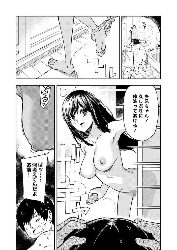 清楚で完璧な妹が俺のことを好きすぎる 【上向だい】 サンプル画像